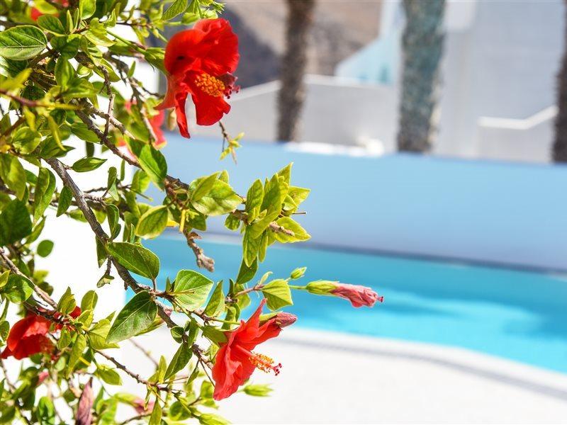 Kouros Village Hotel - Adults Only 佩里萨 外观 照片
